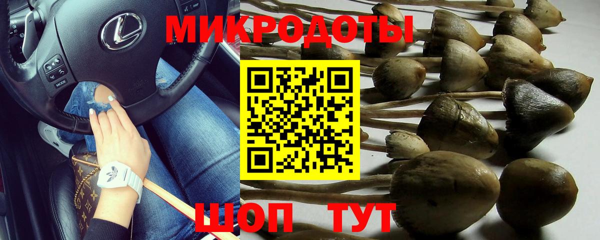 Королёв  Псилоцибиновые грибы мицелий  Псилоцибиновые грибы GOLDEN TEACHER  Вход с VPN 
